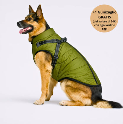 Arcapets™ 3 in 1 winter jacket + free leash included
