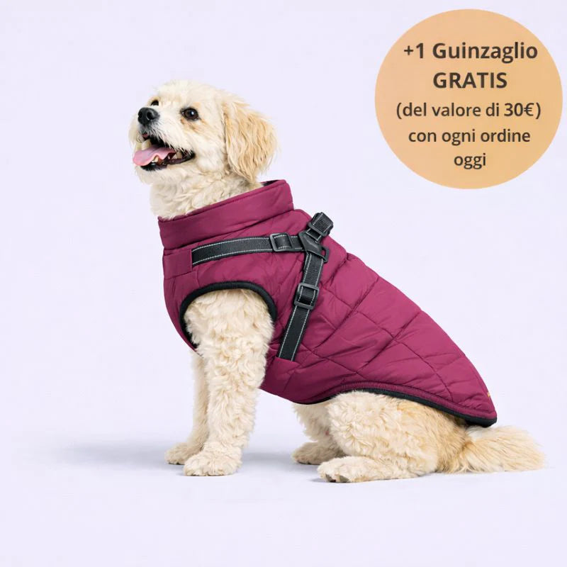 Arcapets™ 3 in 1 winter jacket + free leash included