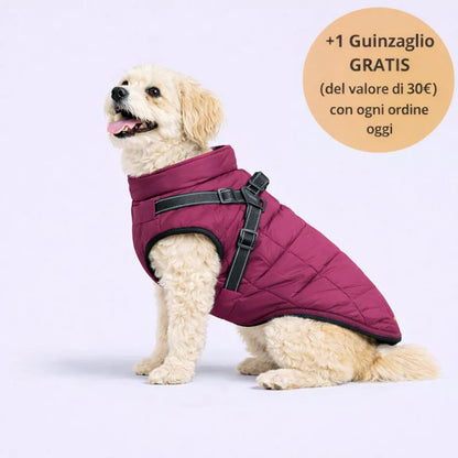 Arcapets™ 3 in 1 winter jacket + free leash included