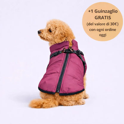 Arcapets™ 3 in 1 winter jacket + free leash included