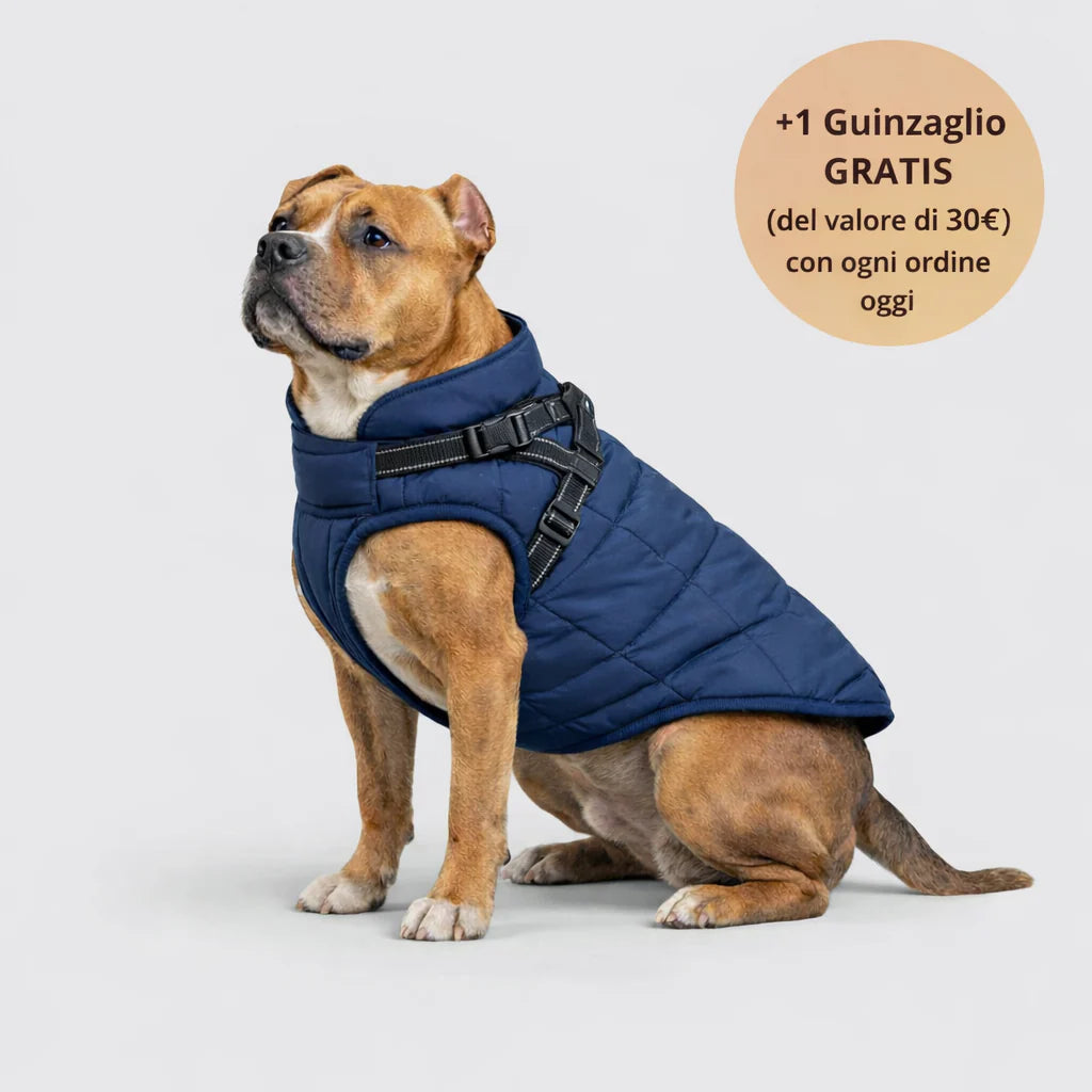 Arcapets™ 3 in 1 winter jacket + free leash included