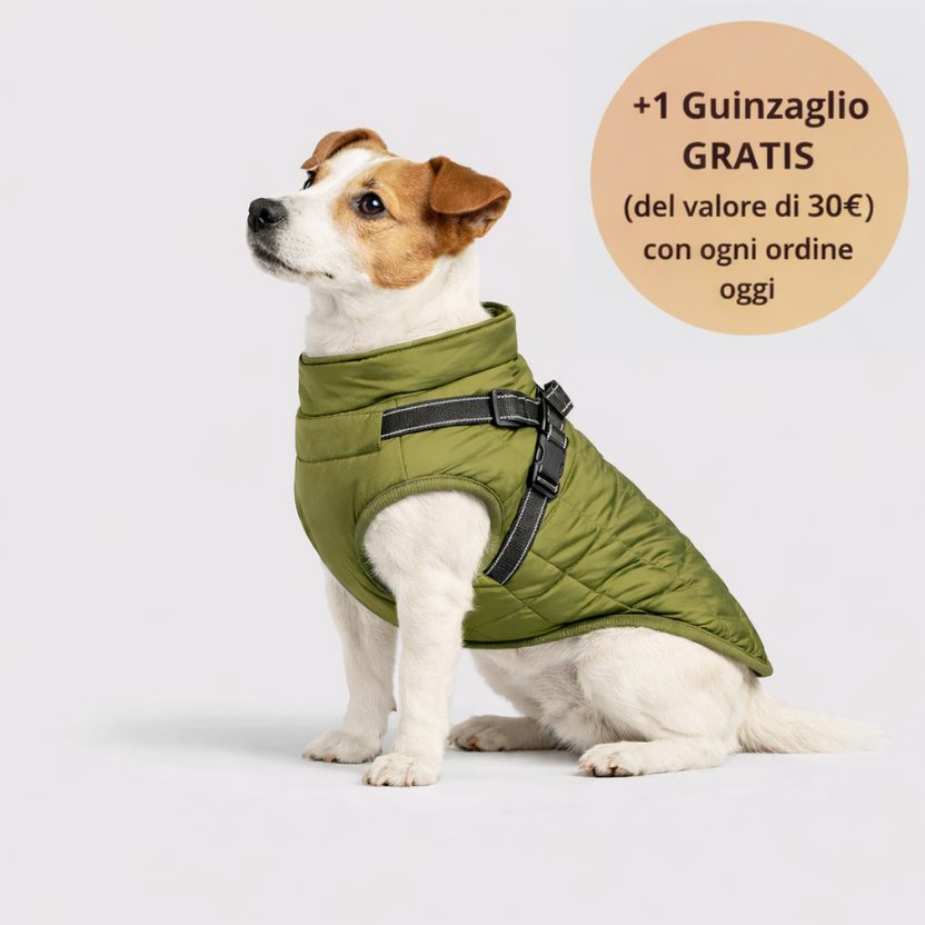 Arcapets™ 3 in 1 winter jacket + free leash included