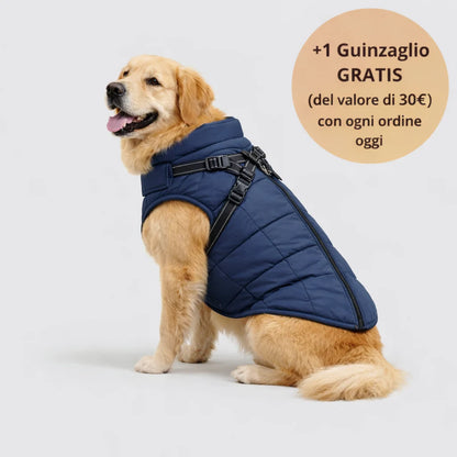 Arcapets™ 3 in 1 winter jacket + free leash included