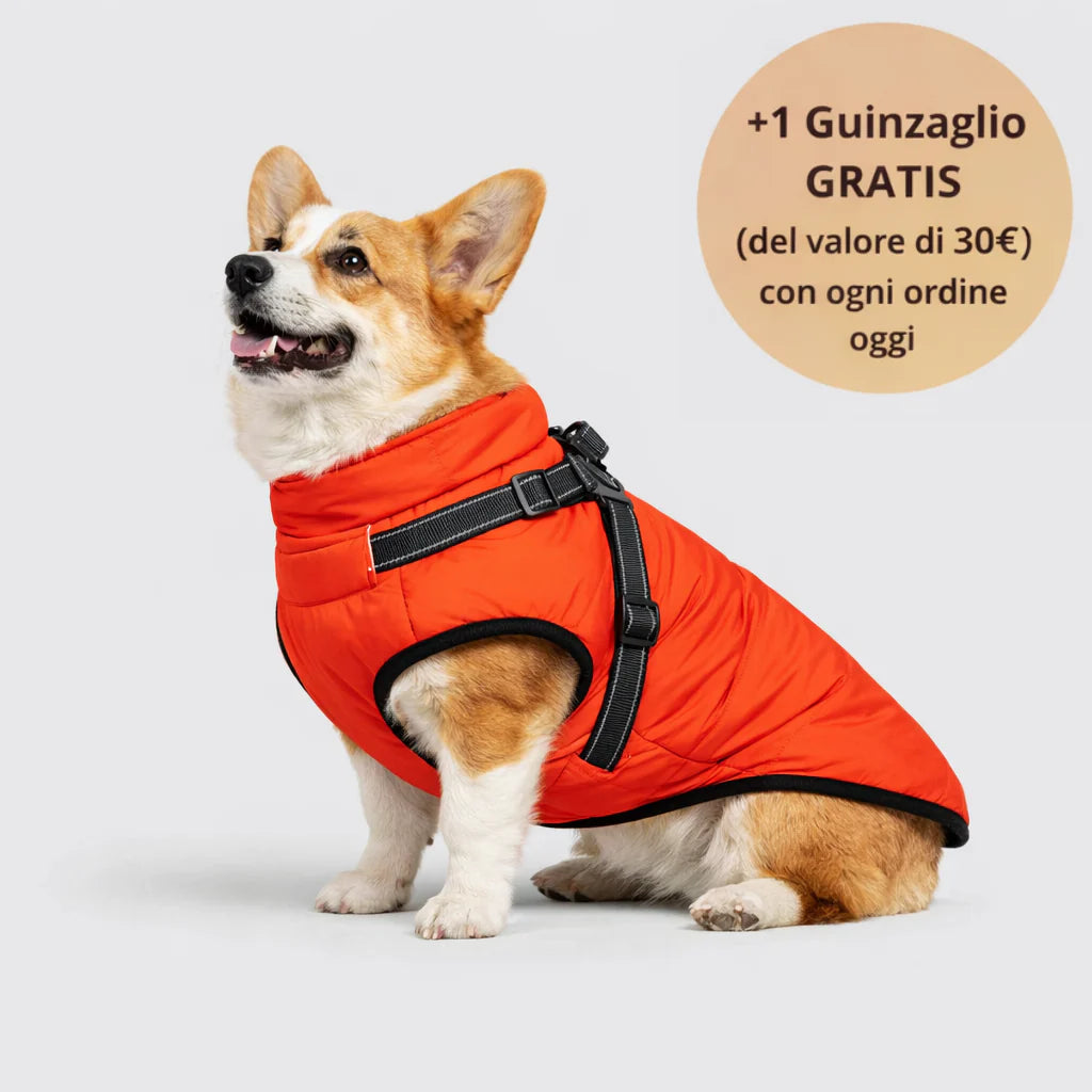 Arcapets™ 3 in 1 winter jacket + free leash included